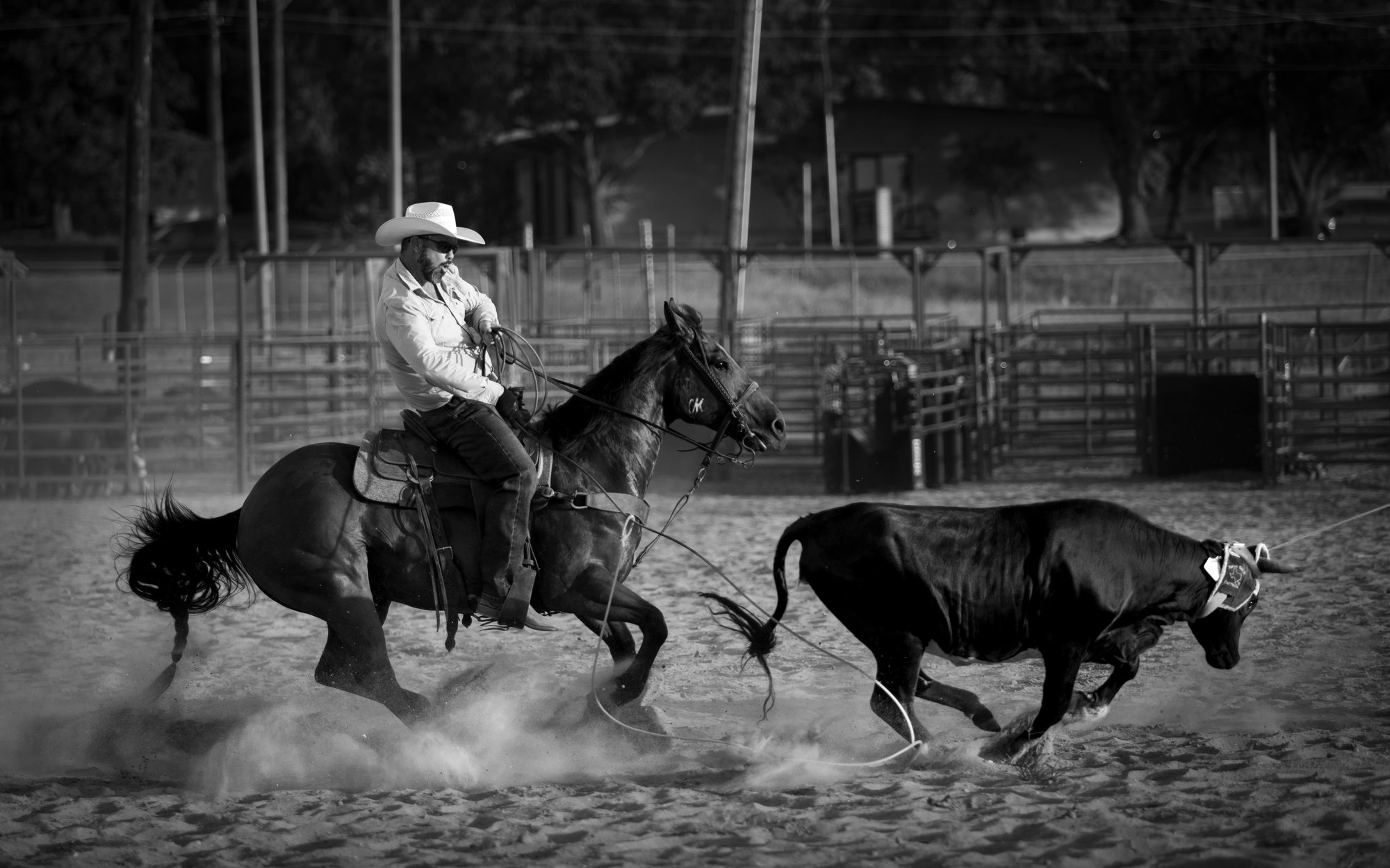 B&W Rodeo-4-1