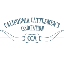 CA Cattlemen