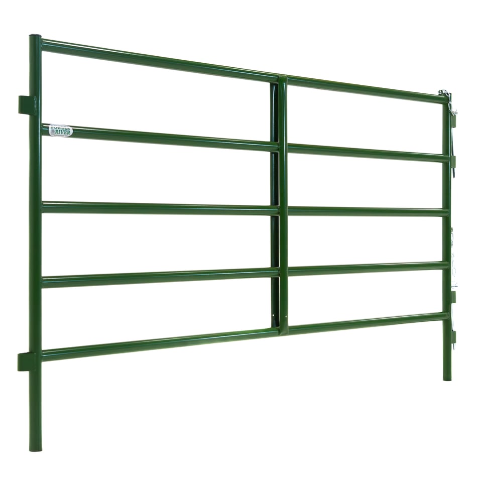 Calf Alley Panel