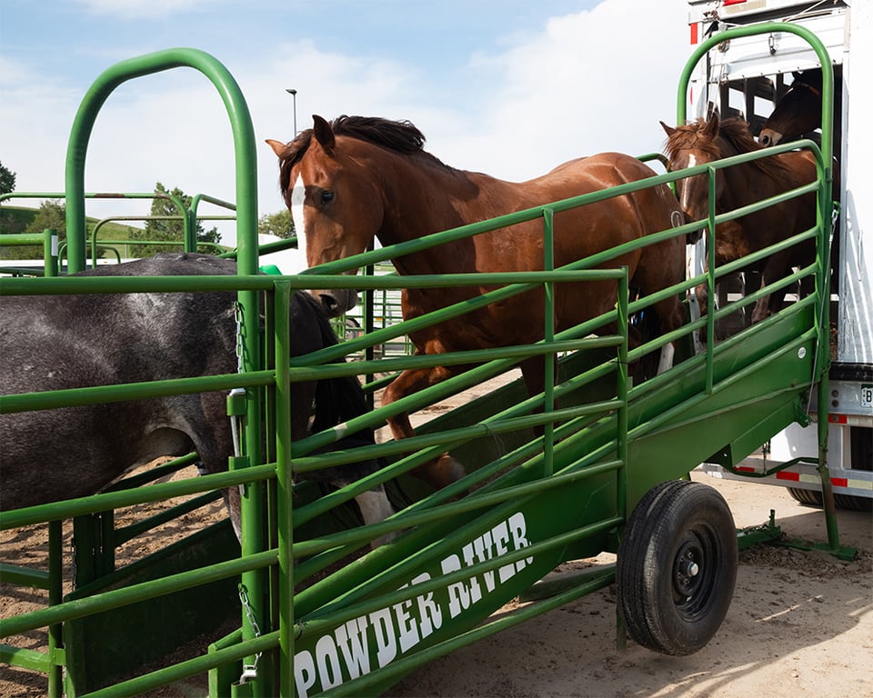 Horse Loading Ramp