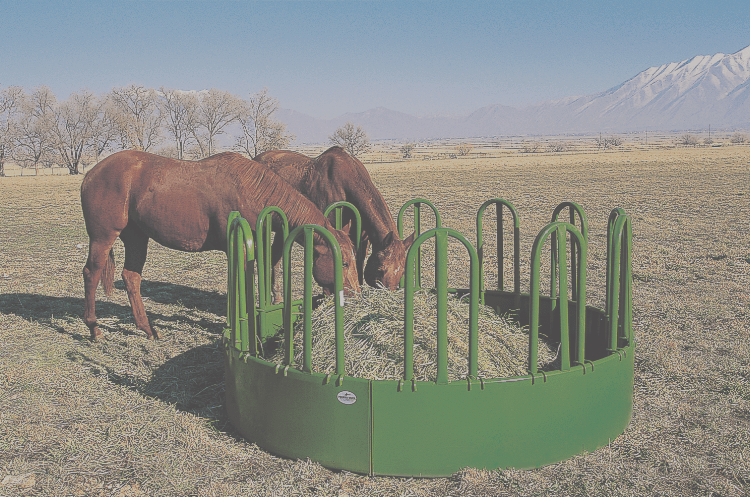 Horse-Feeding-Web-Pic-1