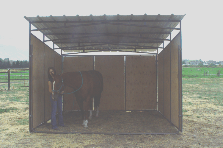 Horse-Shelter-Web-Pic