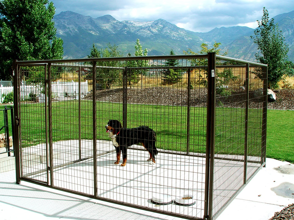 dog kennels-1