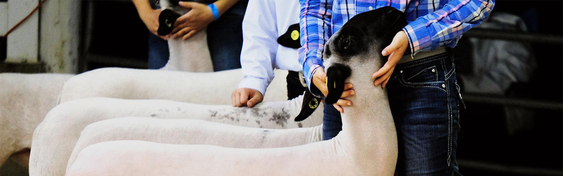 Fairs & Expos Banner Image