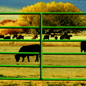 Rancher Gates