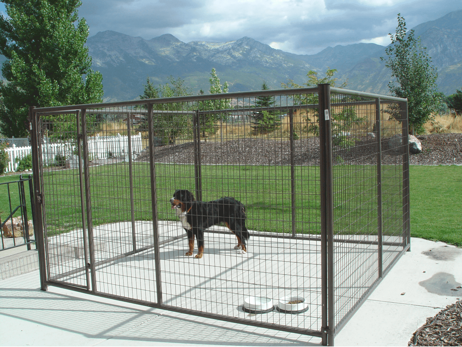What Are Dog Kennels